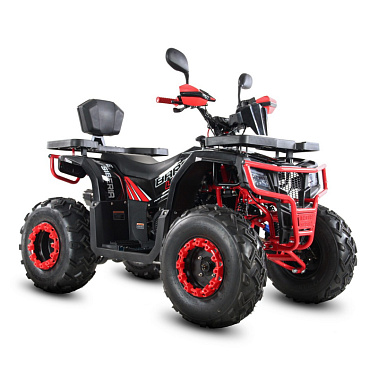 Квадроцикл WHITE SIBERIA BARS L200