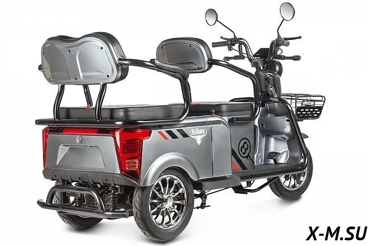 Трицикл ELTRECO Rutrike Экипаж