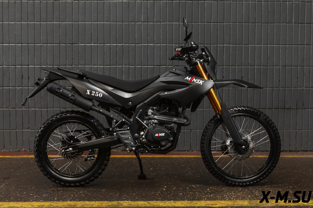 Мотоцикл MINSK X 250 Enduro M1NSK