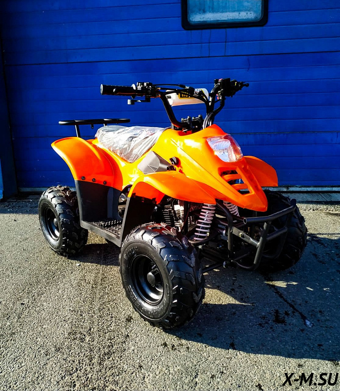 Квадроцикл RAPTOR 110