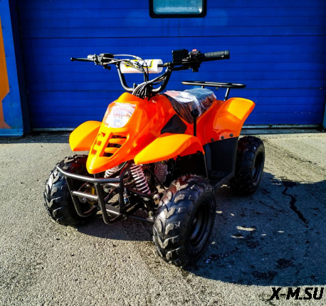 Квадроцикл RAPTOR 110