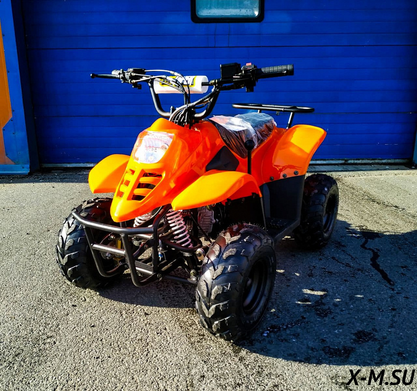 Квадроцикл RAPTOR 110