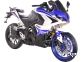 Мотоцикл RACER RC250XZR-A STORM