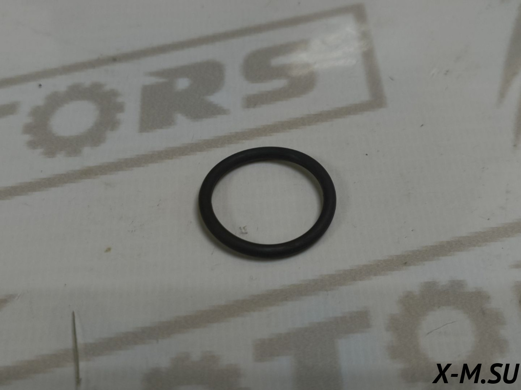 Кольцо уплотнительное D=21.d=2.4 1P75CVT-PRO
