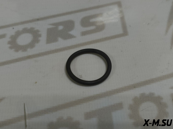 Кольцо уплотнительное D=21.d=2.4 1P75CVT-PRO