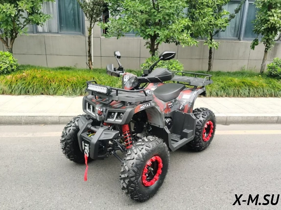 Квадроцикл MOTAX GRIZLIK T 200 LUX