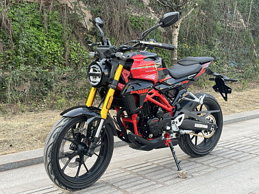 Мотоцикл PROMAX CB300RL (4V, 6G)