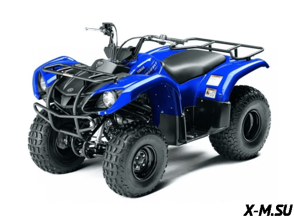 Квадроцикл Grizzly 125