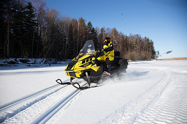 Снегоход Рыбак Торос 600S 800Pro