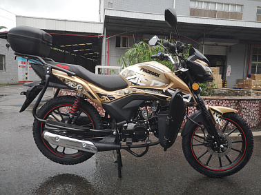 Мопед PROMAX ALPHA RS-PRO 150 (49)