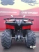 Квадроцикл IRBIS ATV 250