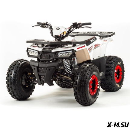 Квадроцикл MOTOLAND (МОТОЛЕНД) 125 WILD BASIC