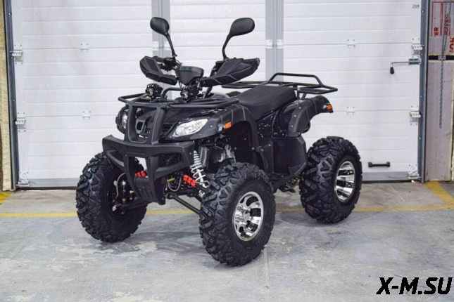 Квадроцикл Grizzly 200