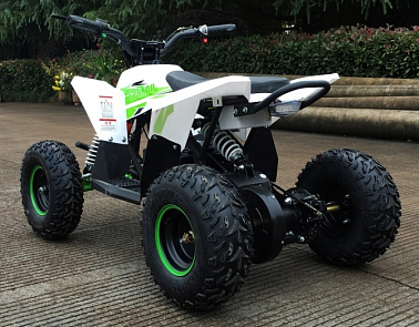 Детский электро квадроцикл MOTAX GEKKON 1300W