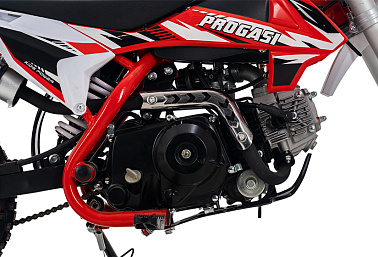 Питбайк Progasi KIDS POWER 110 (10/12)