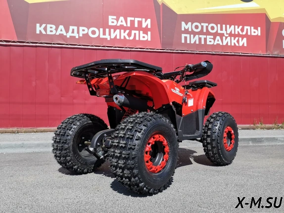 Квадроцикл PROMAX WILD 175 BASIC