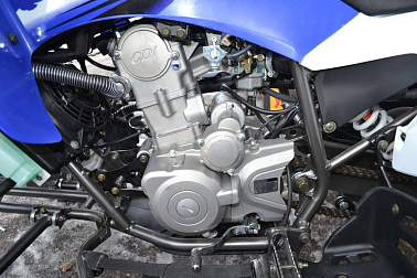 Квадроцикл MOTOLAND (МОТОЛЕНД) 250S