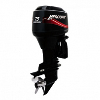 Запчасти для 2-х тактного ПЛМ MERCURY 75 Серийный номер от 0D283222 до 0G760299