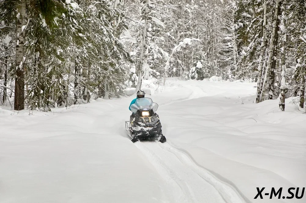 Снегоход STELS ЕРМАК 600L2T (катки)