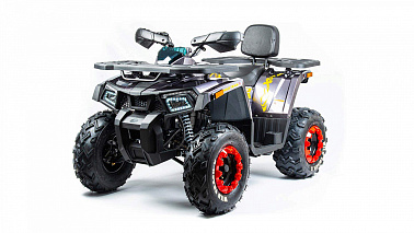 Квадроцикл MOTOLAND (МОТОЛЕНД) VOX200 WILD TRACK X (баланс. вал)