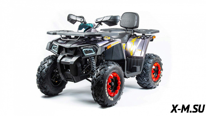 Квадроцикл MOTOLAND (МОТОЛЕНД) VOX200 WILD TRACK X (баланс. вал)