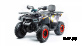 Квадроцикл MOTOLAND (МОТОЛЕНД) VOX200 WILD TRACK X (баланс. вал)